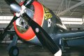 P-47D Razorback (Champlin Fighter Museum)