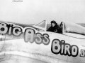 Le Lieutenant Howard Park (9th U.S.A.A.F. XIXth T.A.C. 406th F.G. 513th  F.S.) aux commandes du P-47 Big Ass Bird II (750x562 / 91 Ko)