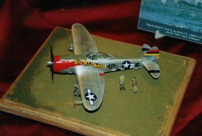 Big Ass Bird II, Lt. Howard Park, 9th U.S.A.A.F. XIXth T.A.C. 406th F.G. 513th  F.S., 1:72, by Jean FAURY 