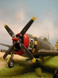 P-47 "checkertail", au 1/72ème, par Jean FAURY (413x550 / 43 Ko)