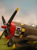 P-47 "checkertail", au 1/72ème, par Jean FAURY (413x550 / 37 Ko)