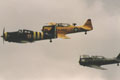 Crazy T-6 squadron at Ferté Alais 2002 air show, may 18&19