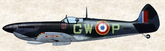 Le profil du Spitfire Mk IX (LF) du Groupe de Chasse Ile de France.